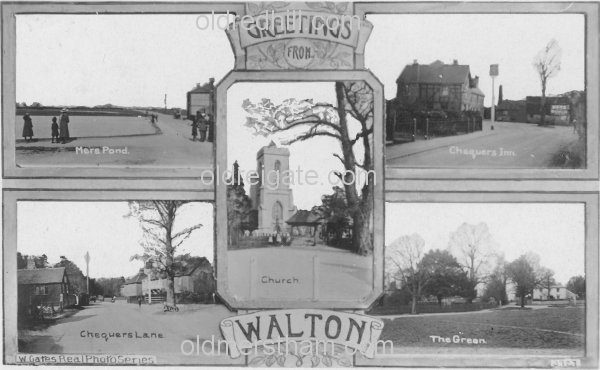Image number 3190&prevurl=multiview