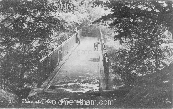 Image number 4574&prevurl=reigatehill9