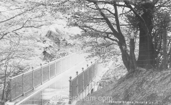Image number 4577&prevurl=reigatehill9