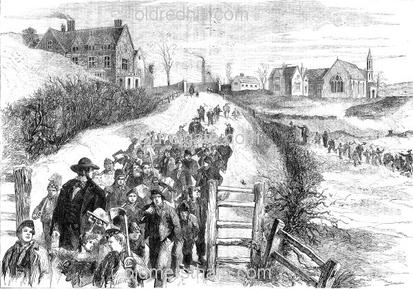 Image number 6229&prevurl=publishers313